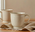 Speckled Ceramic Mug Set · Set of 2