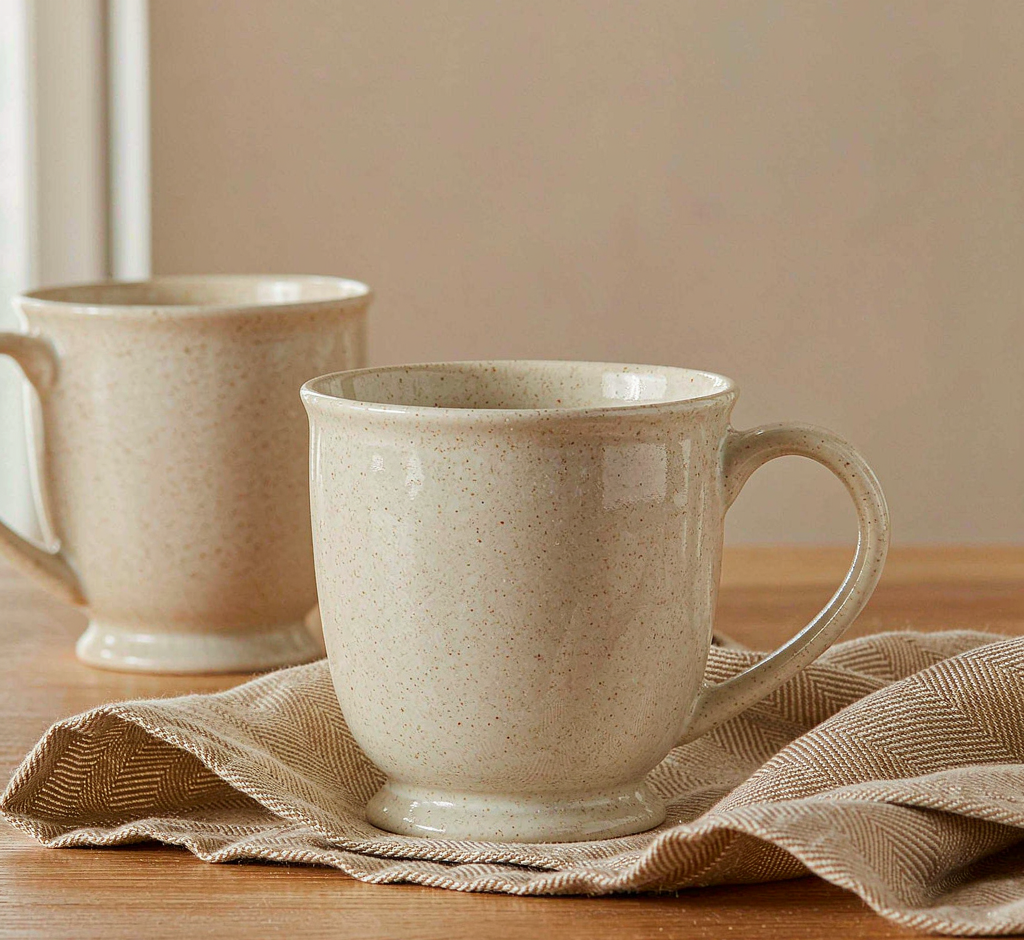 Speckled Ceramic Mug Set · Set of 2