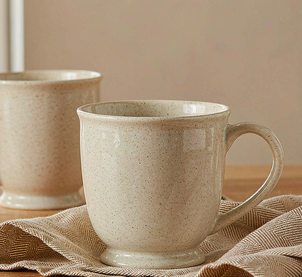 Speckled Ceramic Mug Set · Set of 2