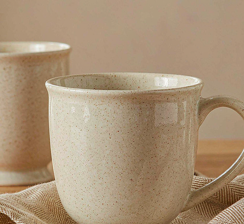 Speckled Ceramic Mug Set · Set of 2